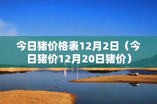 今日猪价格表12月2日（今日猪价12月20日猪价）