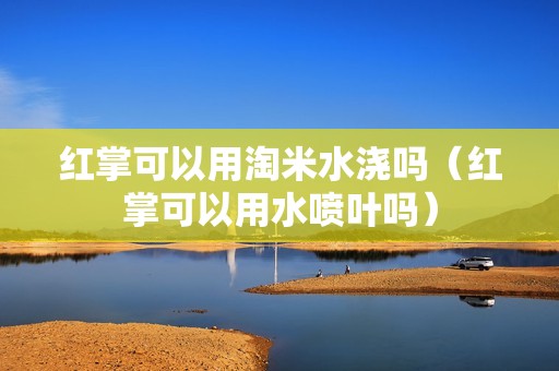 红掌可以用淘米水浇吗（红掌可以用水喷叶吗）