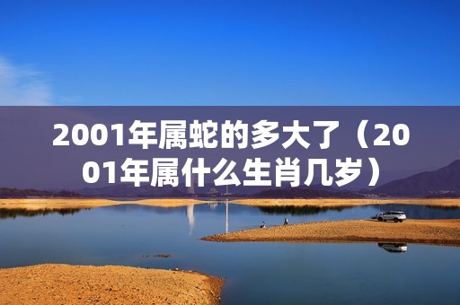 2001年属蛇的多大了（2001年属什么生肖几岁）