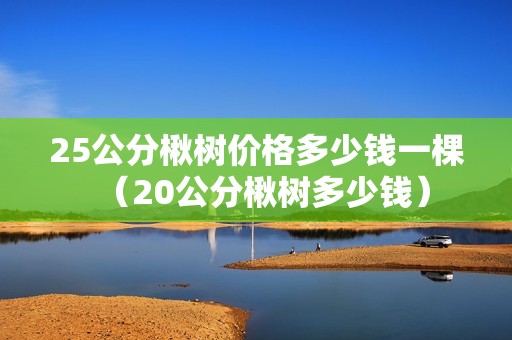 25公分楸树价格多少钱一棵（20公分楸树多少钱）