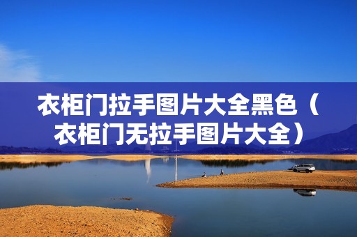 衣柜门拉手图片大全黑色（衣柜门无拉手图片大全）