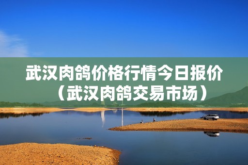 武汉肉鸽价格行情今日报价（武汉肉鸽交易市场）