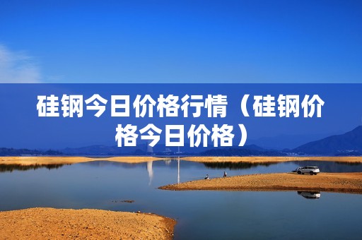 硅钢今日价格行情（硅钢价格今日价格）