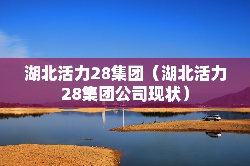 湖北活力28集团（湖北活力28集团公司现状）