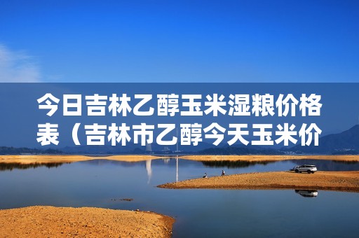 今日吉林乙醇玉米湿粮价格表（吉林市乙醇今天玉米价格）