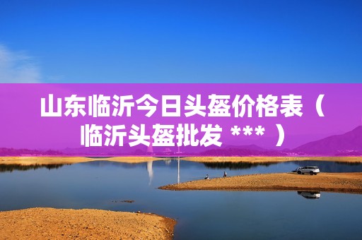 山东临沂今日头盔价格表（临沂头盔批发 *** ）