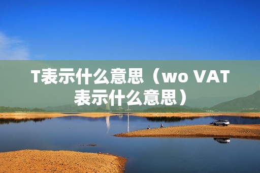 T表示什么意思（wo VAT表示什么意思）