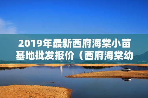 2019年最新西府海棠小苗基地批发报价（西府海棠幼苗图片）