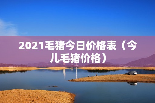 2021毛猪今日价格表（今儿毛猪价格）