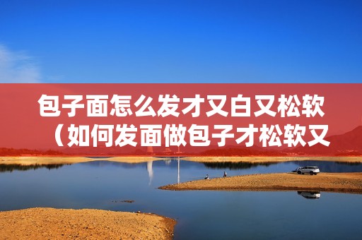 包子面怎么发才又白又松软（如何发面做包子才松软又白）