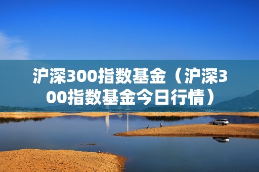 沪深300指数基金（沪深300指数基金今日行情）