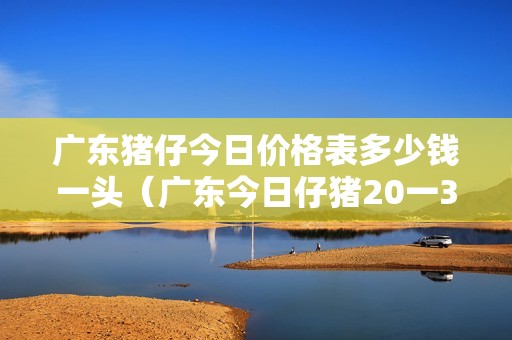 广东猪仔今日价格表多少钱一头（广东今日仔猪20一30斤价格查询）