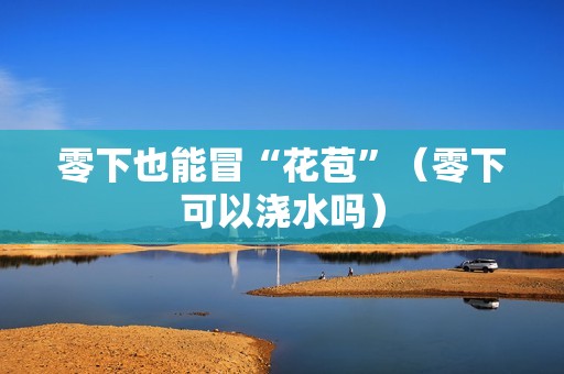 零下也能冒“花苞”（零下可以浇水吗）