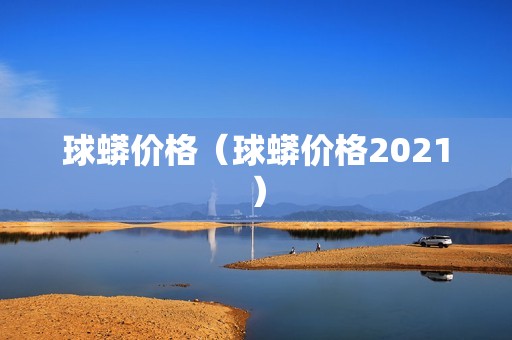 球蟒价格（球蟒价格2021）