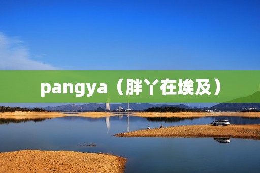 pangya（胖丫在埃及）