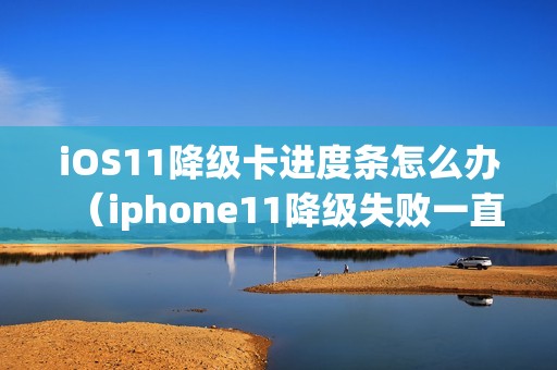 iOS11降级卡进度条怎么办（iphone11降级失败一直在恢复模式）