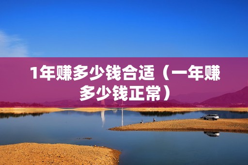 1年赚多少钱合适（一年赚多少钱正常）