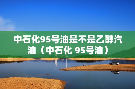 中石化95号油是不是乙醇汽油（中石化 95号油）