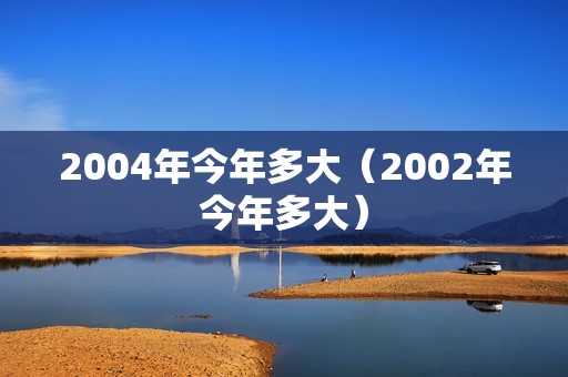 2004年今年多大（2002年今年多大）