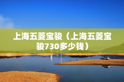 上海五菱宝骏（上海五菱宝骏730多少钱）