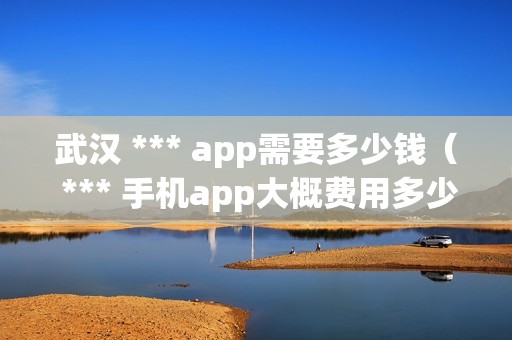 武汉 *** app需要多少钱（ *** 手机app大概费用多少钱）