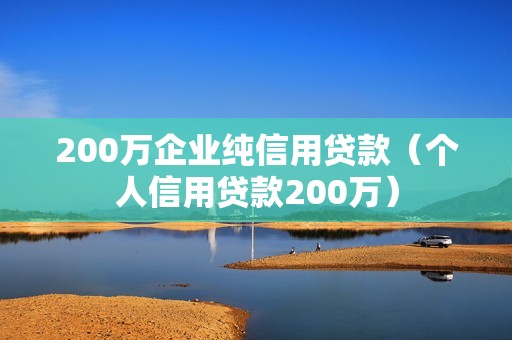 200万企业纯信用贷款（个人信用贷款200万）