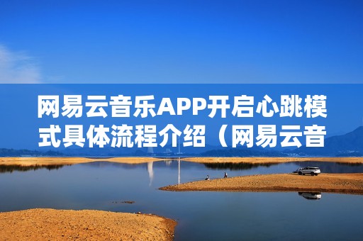 网易云音乐APP开启心跳模式具体流程介绍（网易云音乐怎么开启心动模式）