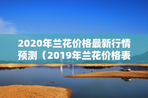 2020年兰花价格最新行情预测（2019年兰花价格表）