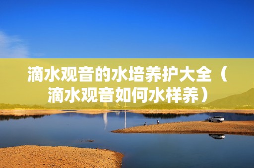 滴水观音的水培养护大全（滴水观音如何水样养）