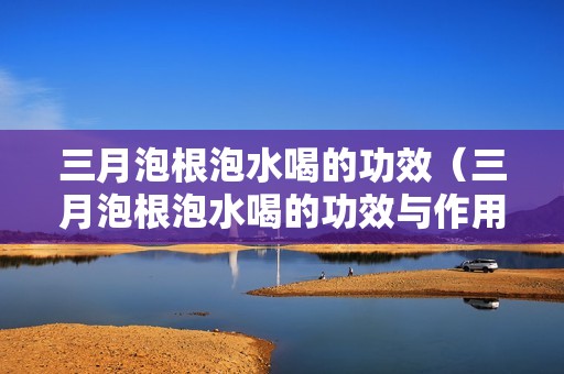 三月泡根泡水喝的功效（三月泡根泡水喝的功效与作用）