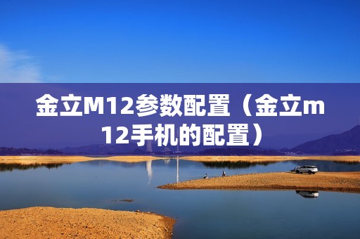 金立M12参数配置（金立m12手机的配置）