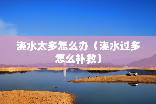 浇水太多怎么办（浇水过多怎么补救）