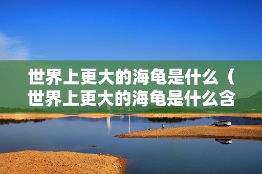 世界上更大的海龟是什么（世界上更大的海龟是什么含义）