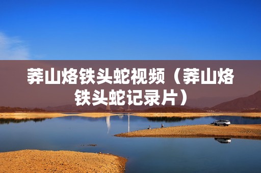 莽山烙铁头蛇视频（莽山烙铁头蛇记录片）