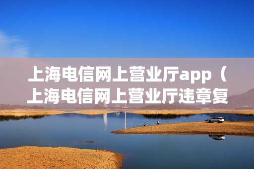 上海电信网上营业厅app（上海电信网上营业厅违章复机）