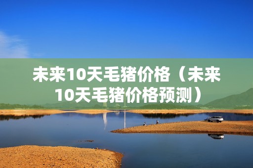 未来10天毛猪价格（未来10天毛猪价格预测）