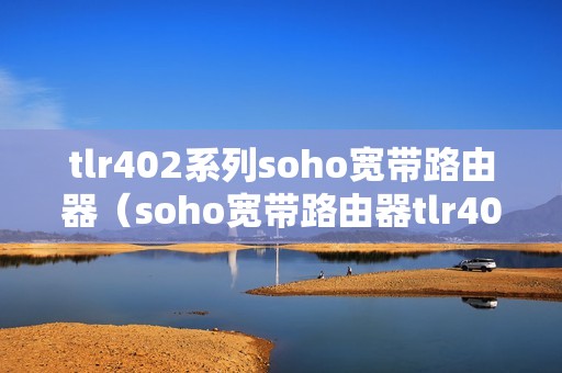 tlr402系列soho宽带路由器（soho宽带路由器tlr406怎么设置）