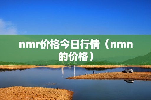 nmr价格今日行情（nmn的价格）