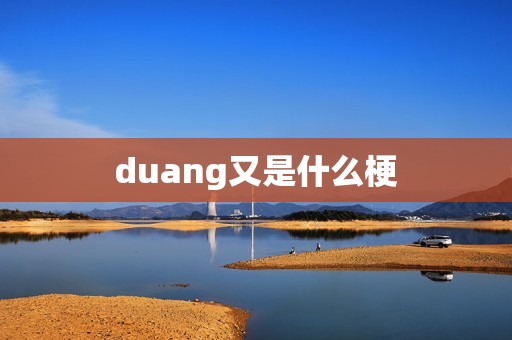 duang又是什么梗