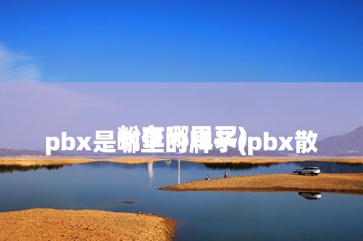 
				pbx是哪里的牌子(pbx散粉在哪里买)