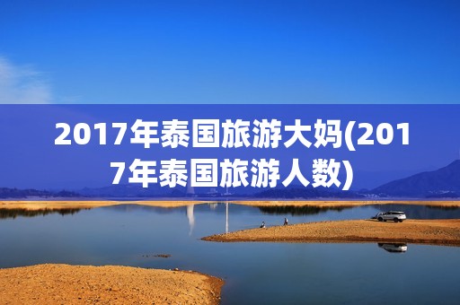 2017年泰国旅游大妈(2017年泰国旅游人数)