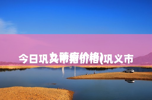 
				今日巩义市猪价格(巩义市九畴府价格)