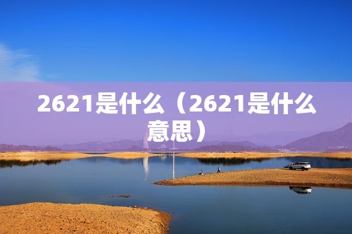 2621是什么（2621是什么意思）