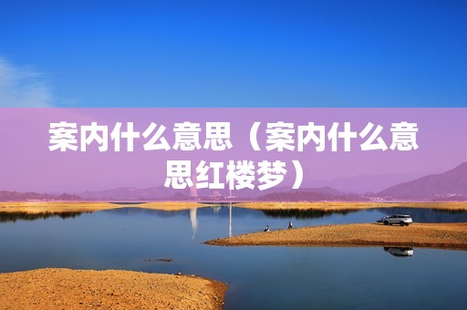 案内什么意思（案内什么意思红楼梦）